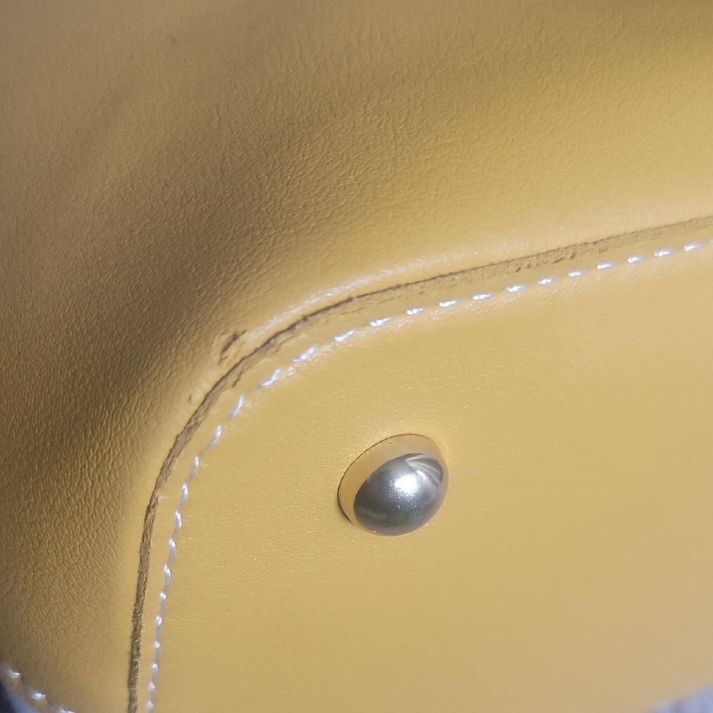 Yellow and White Women Bag - Picture 11 of 14